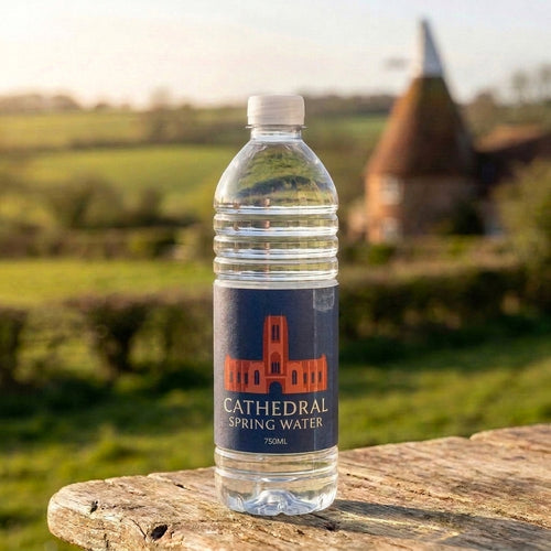Cathedral Spring Water 750ml plastic bottle