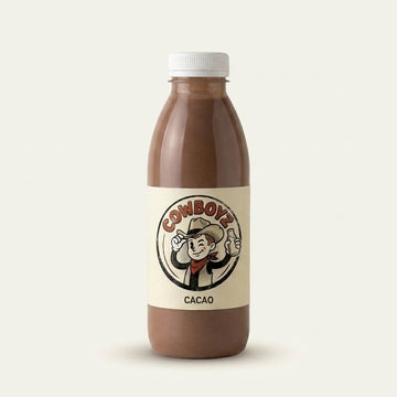 Chocolate and Cacao Milkshake